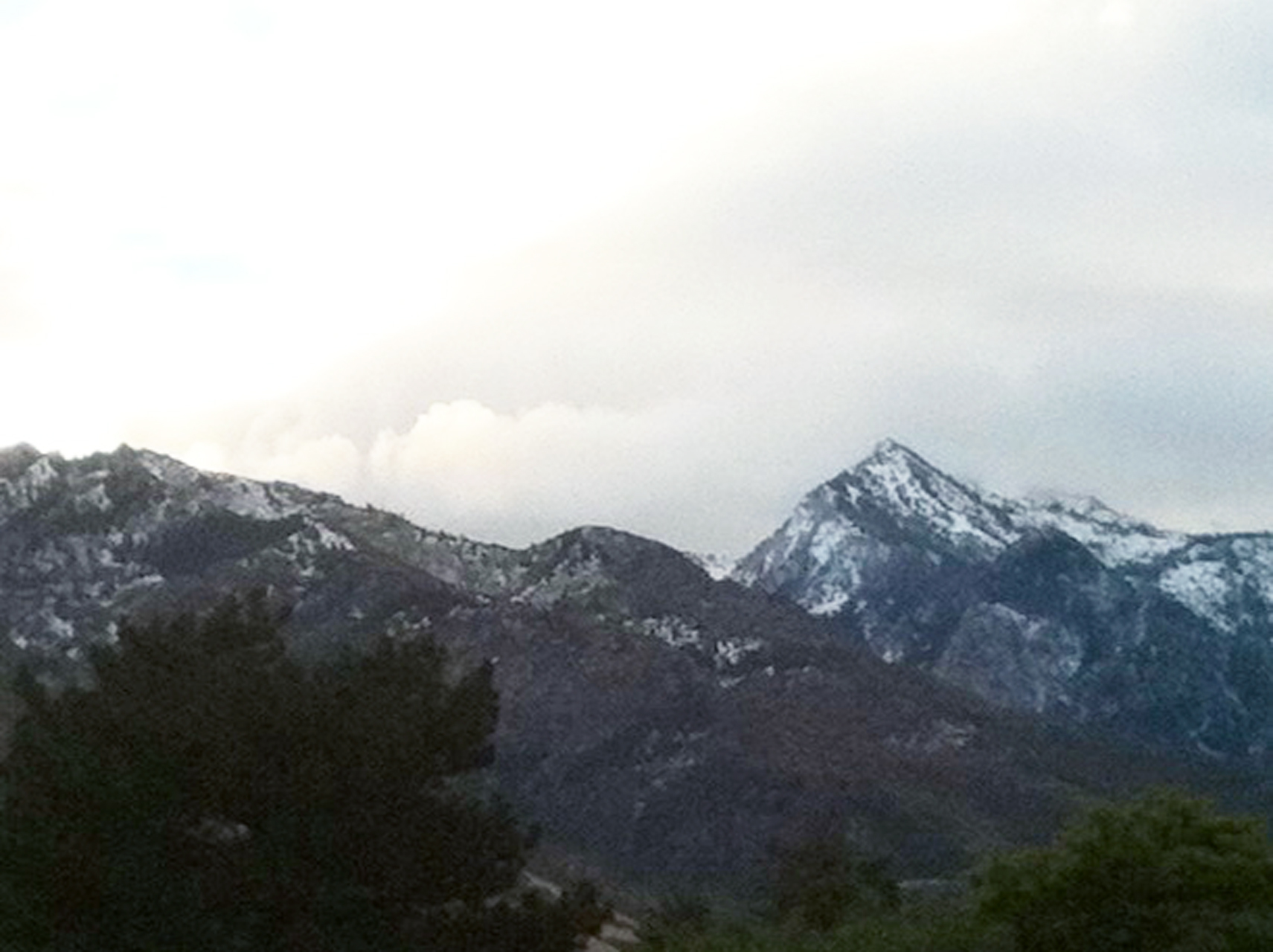 Wasatch