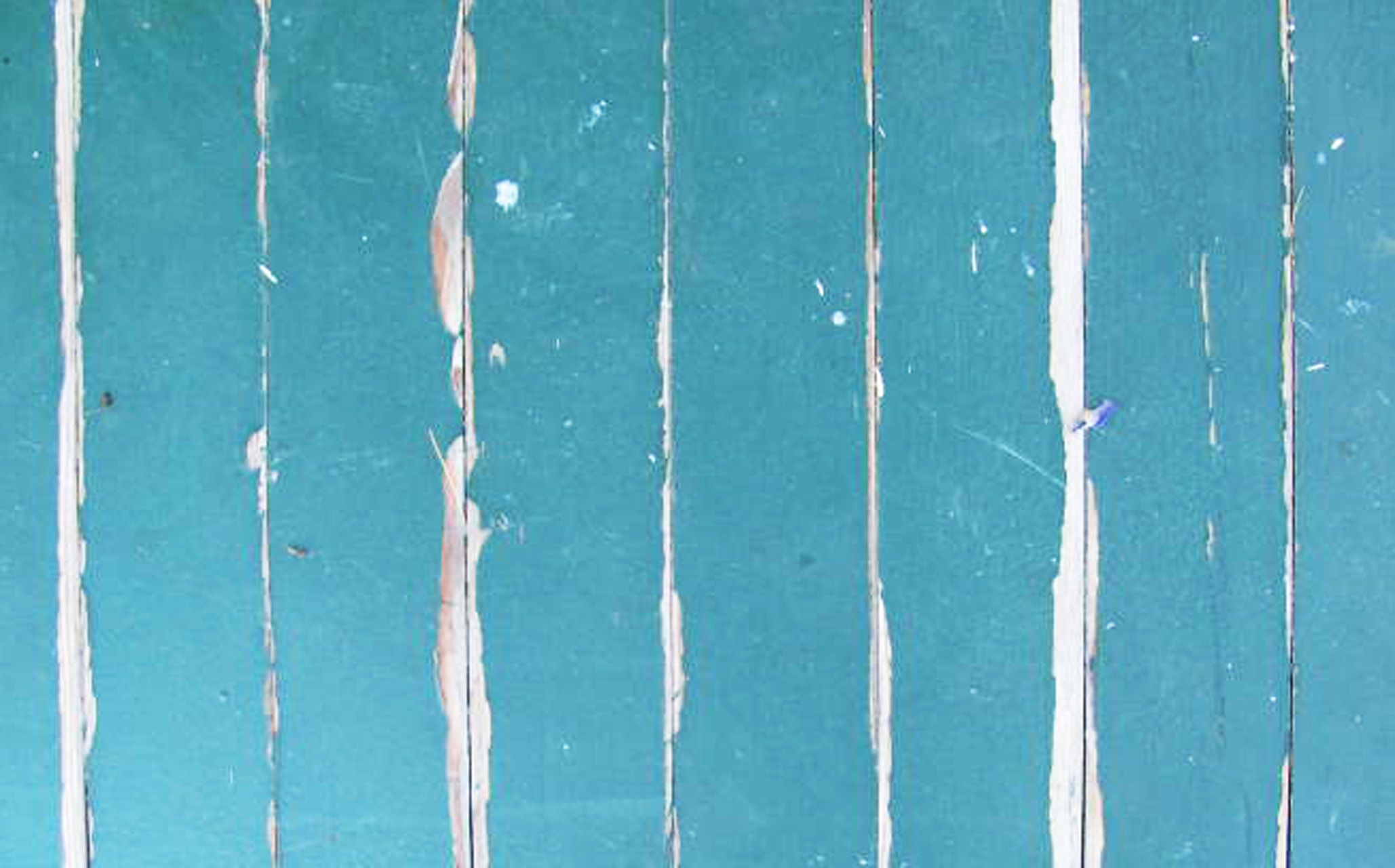 paint