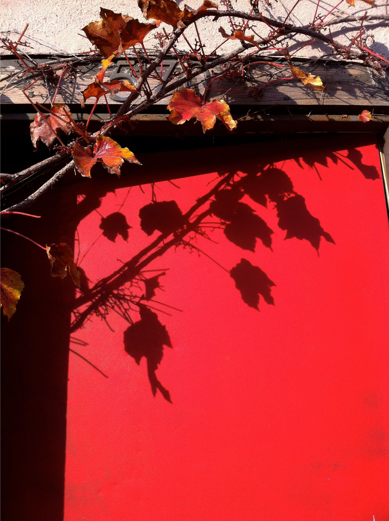 door