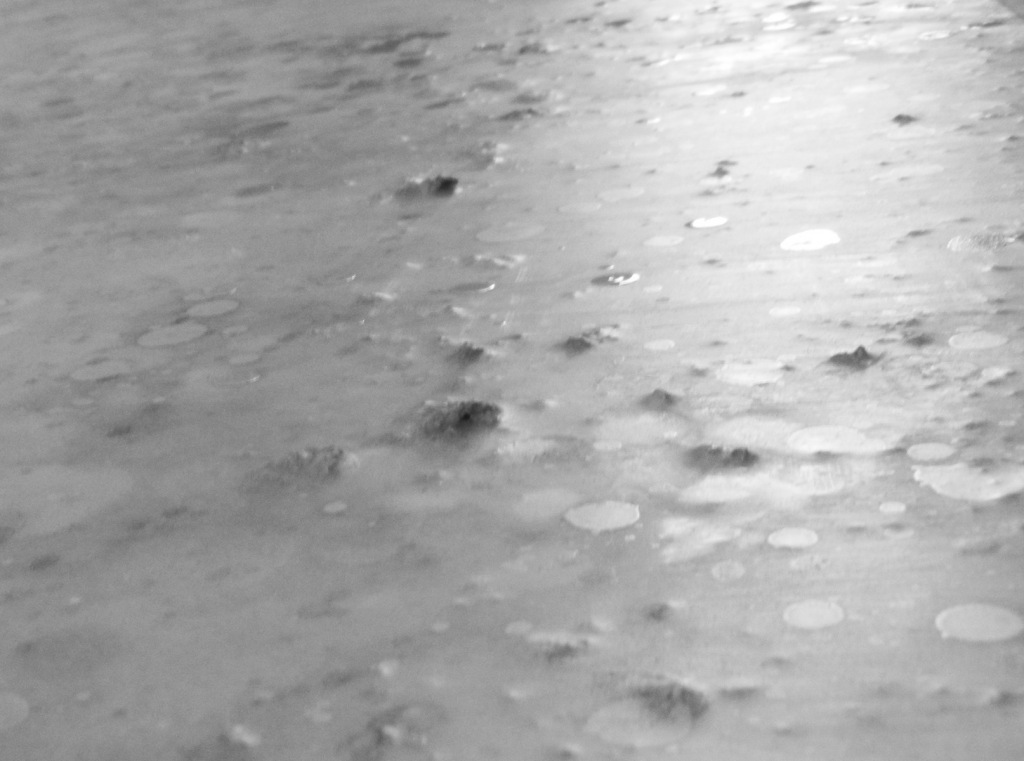 closeupmoonbw