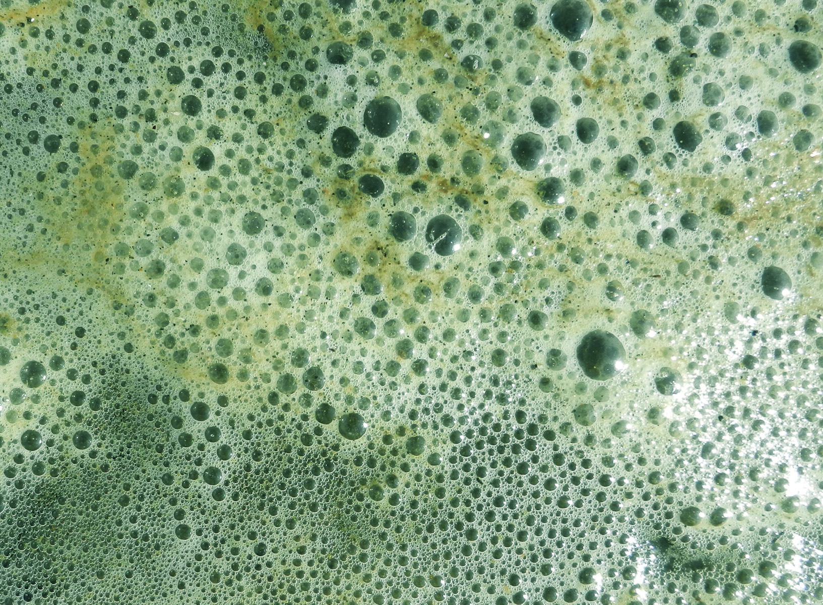 foamgreen