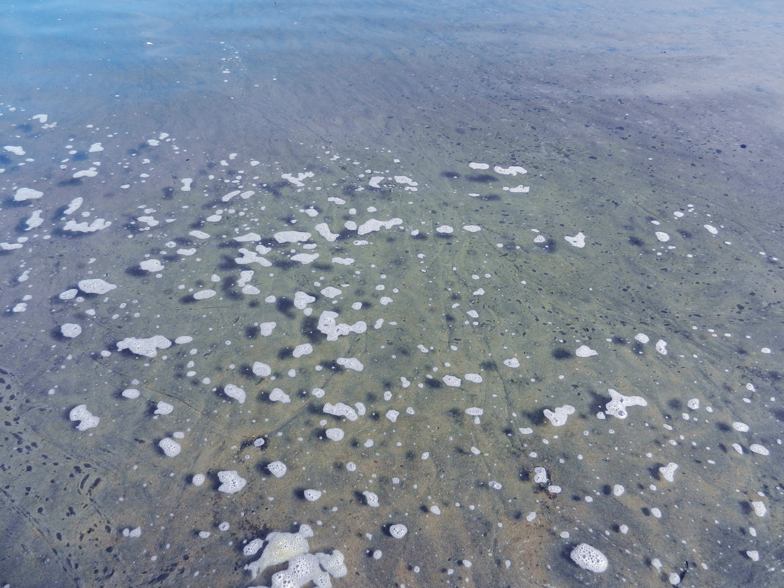 foamwater