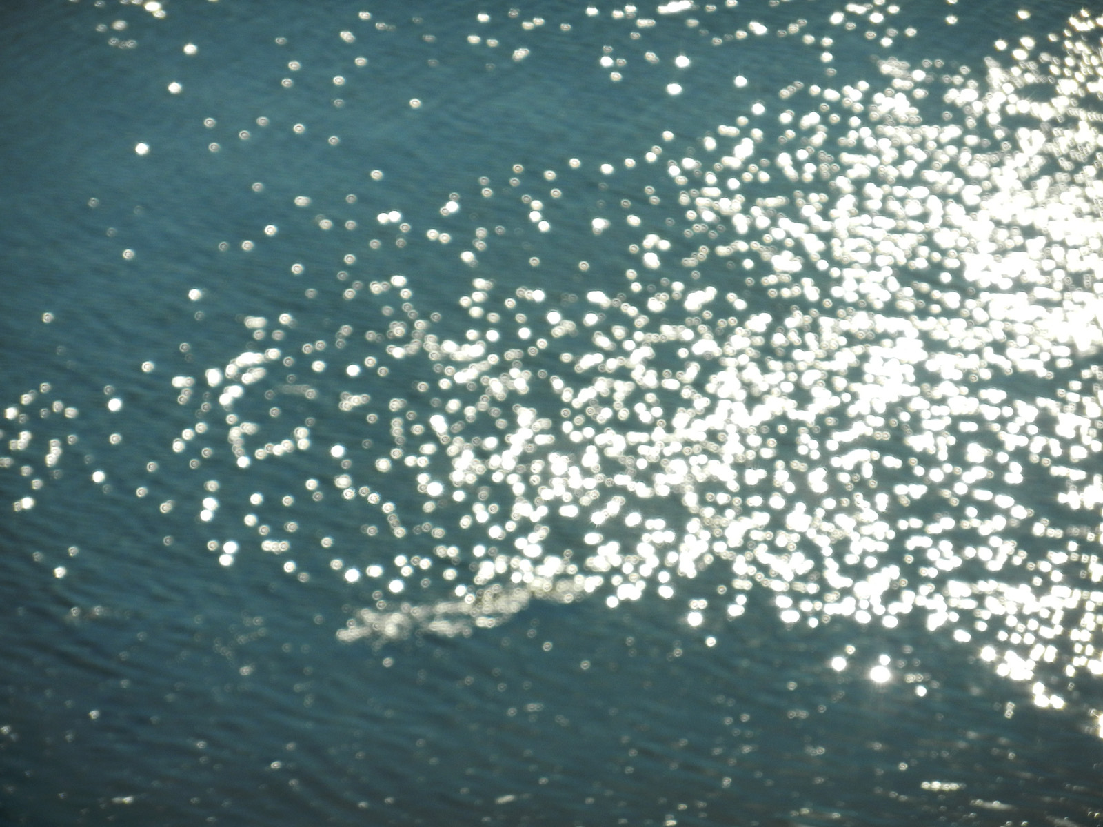lightonwater