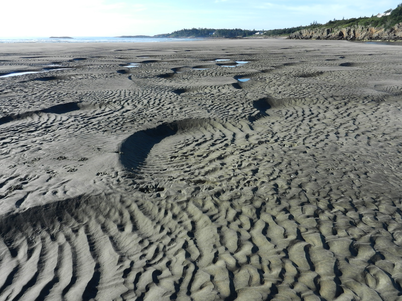 sandorbs1