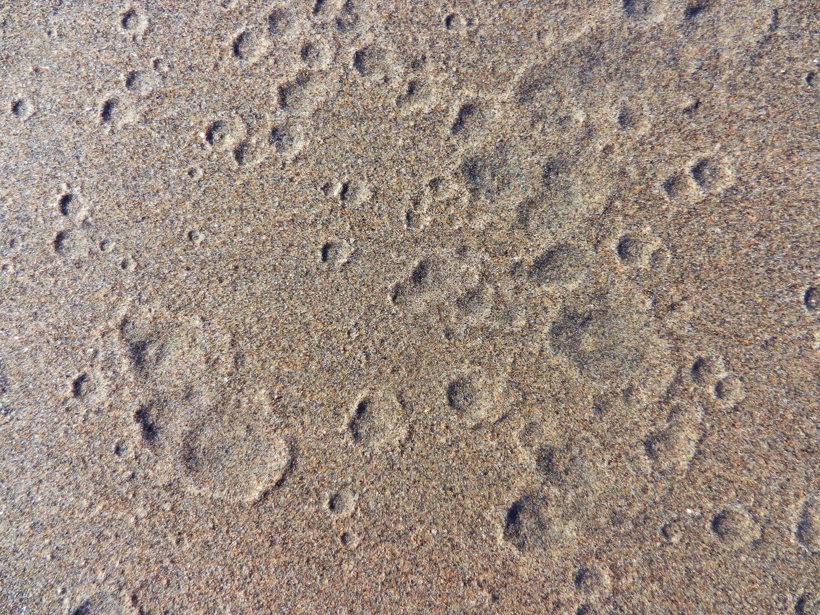 waterdrops