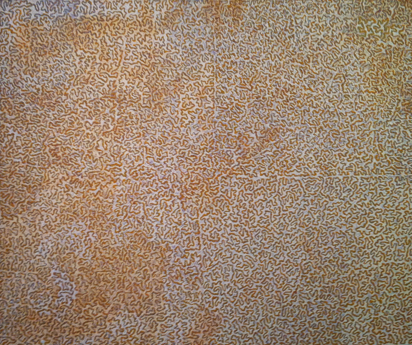 Hoodpattern