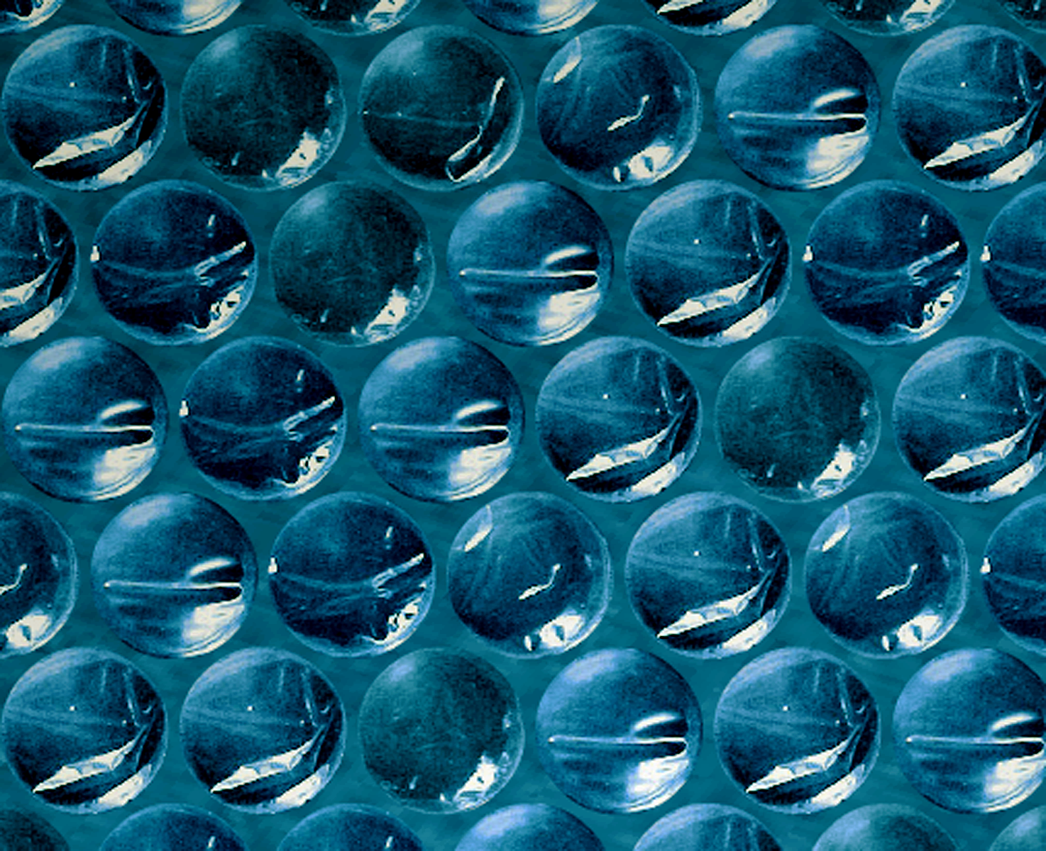 bubblewrap