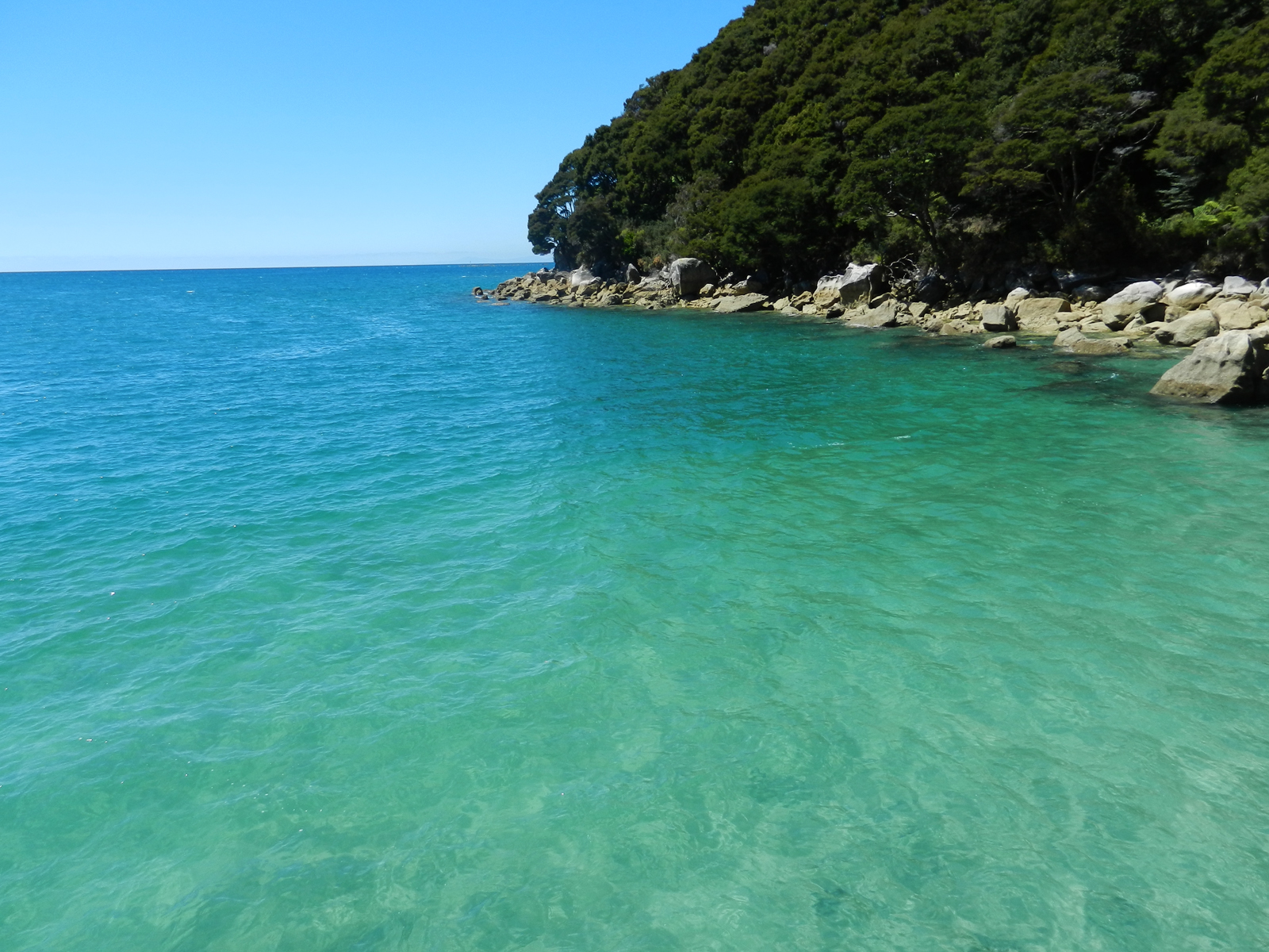 AbelTasmin