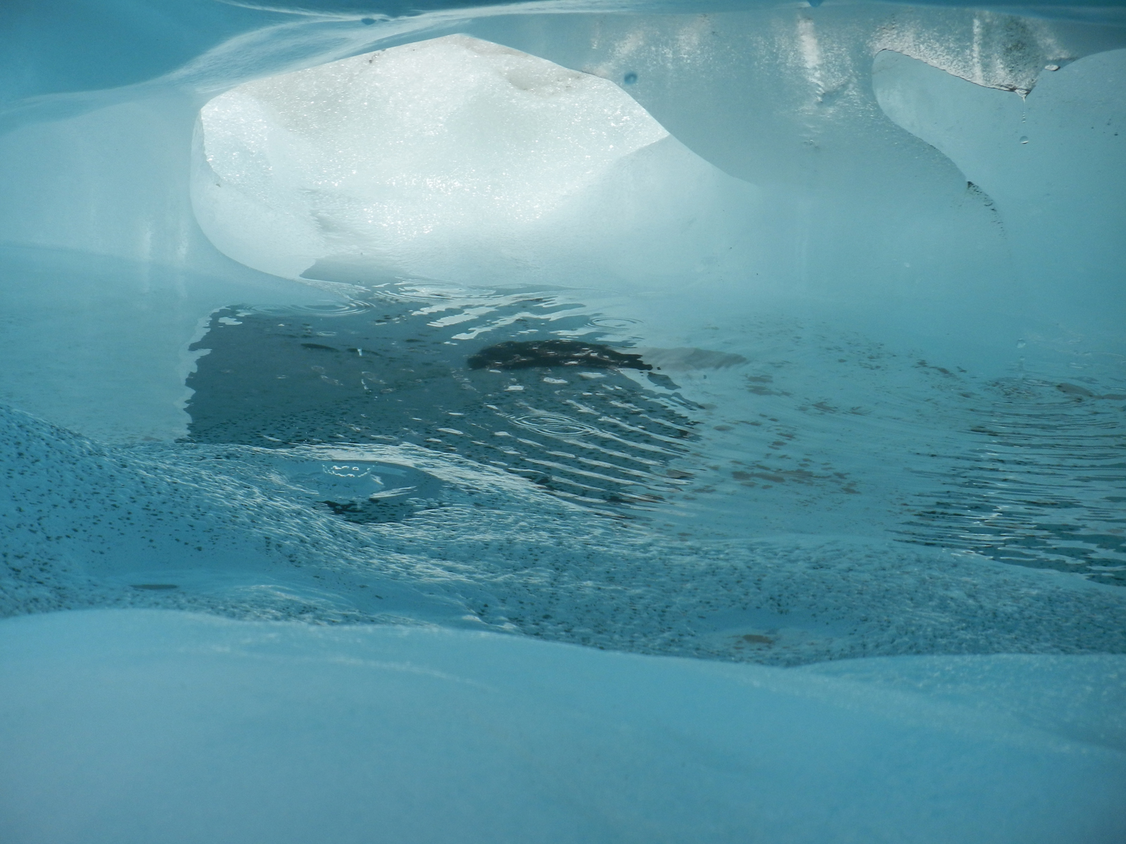 blueice