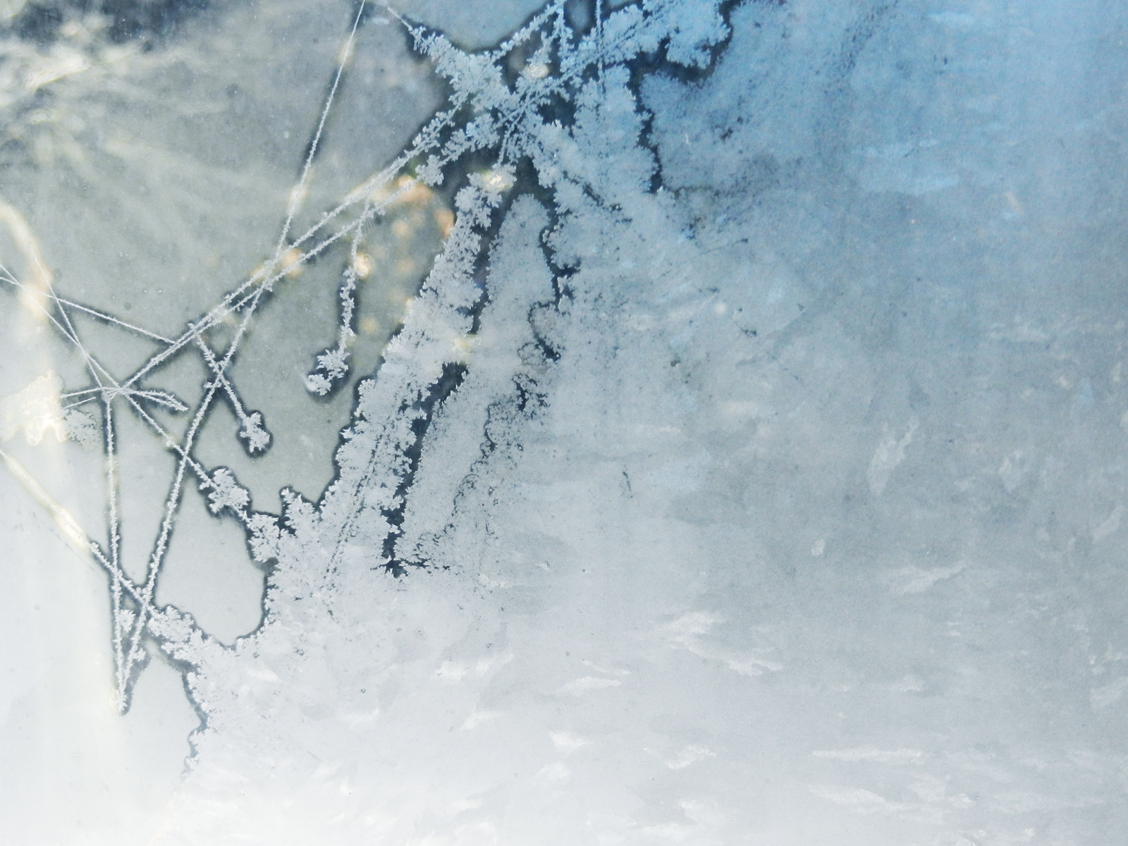 ice