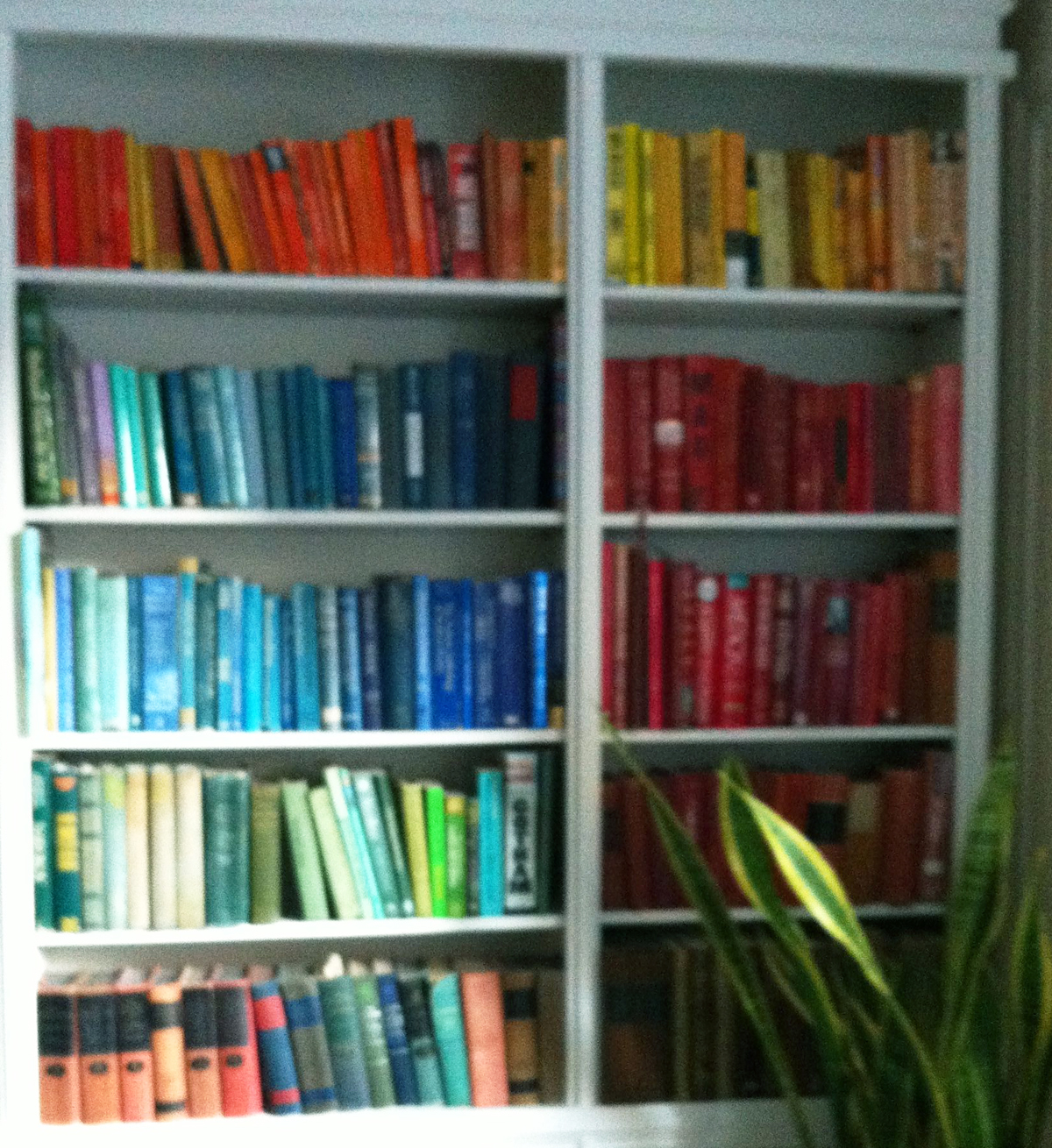Bookshelf